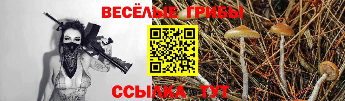 Псилоцибиновые грибы Psilocybe  где найти   Ревда  Галлюциногенные грибы ЛСД  Вход с VPN 